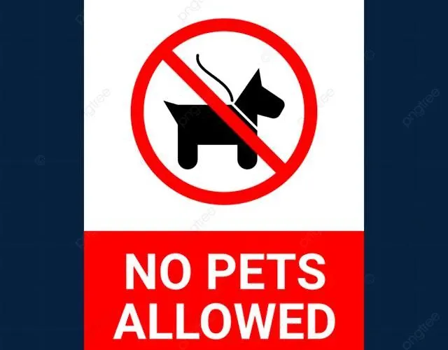 Casa Blanca Lägenhet *